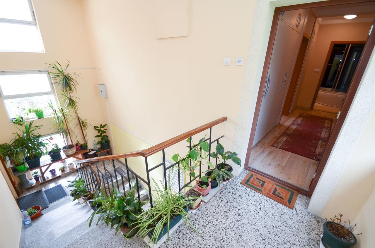 Central Apartment Kotor Exterior photo